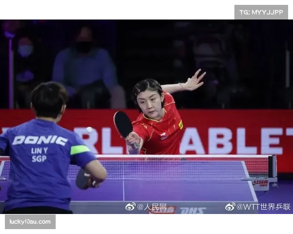 樊振东孙颖莎陈芋汐郑钦文等入选全国体育系统先进个人公示名单